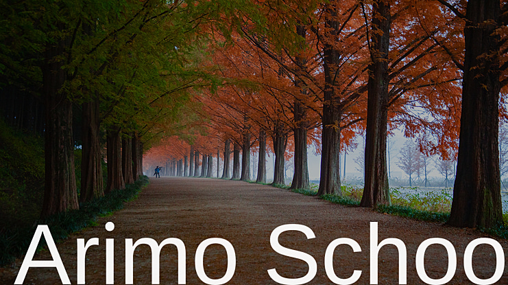 Arimo School Font