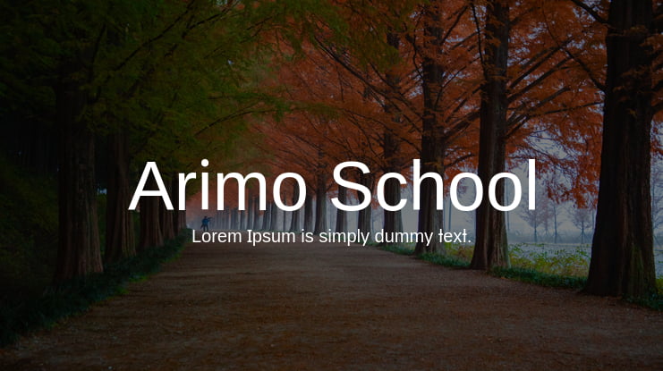 Arimo School Font