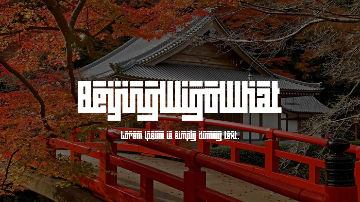 BeijingWigoWhat Font Family