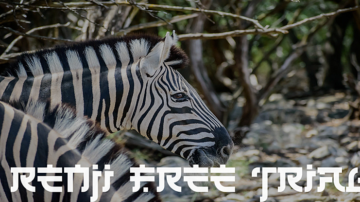 Renji Free Trial Font