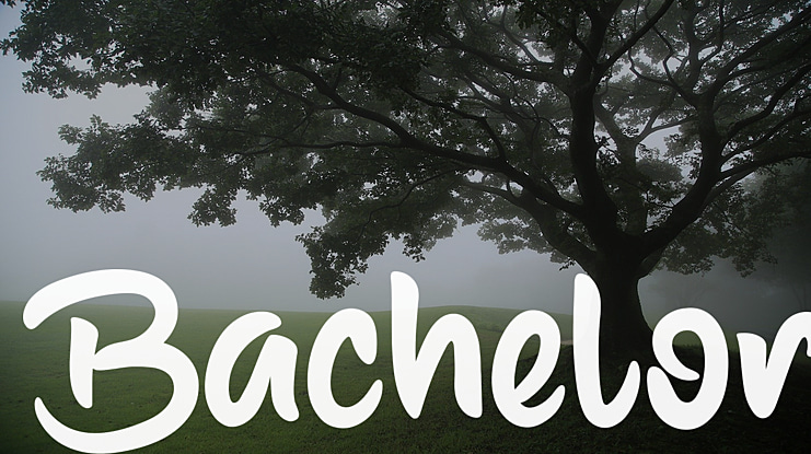 Bachelor Font
