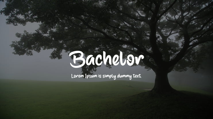 Bachelor Font