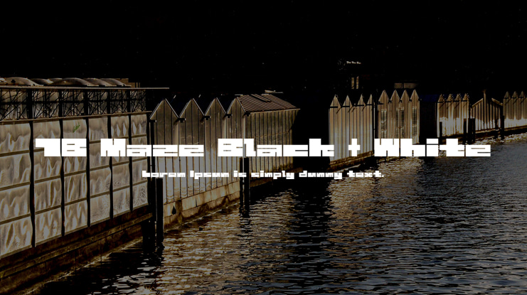 1B Maze Black + White Font Family