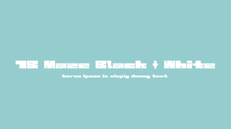 1B Maze Black + White Font Family