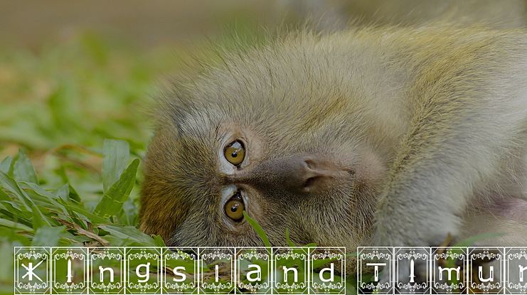 Kingsland Timur Font