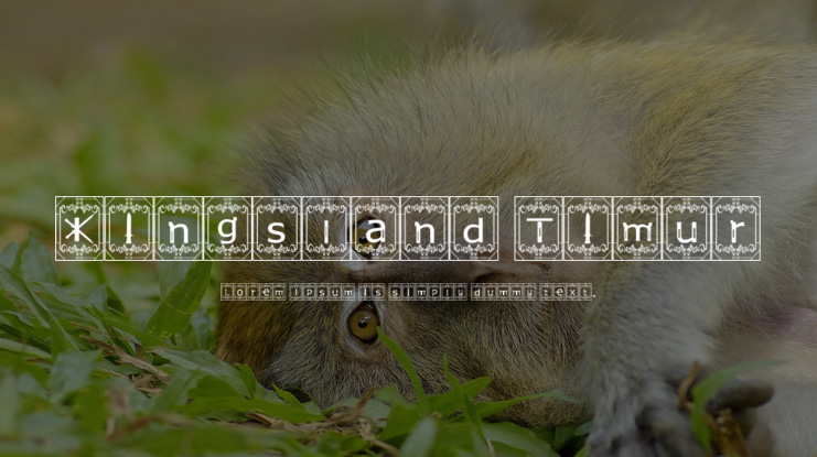 Kingsland Timur Font