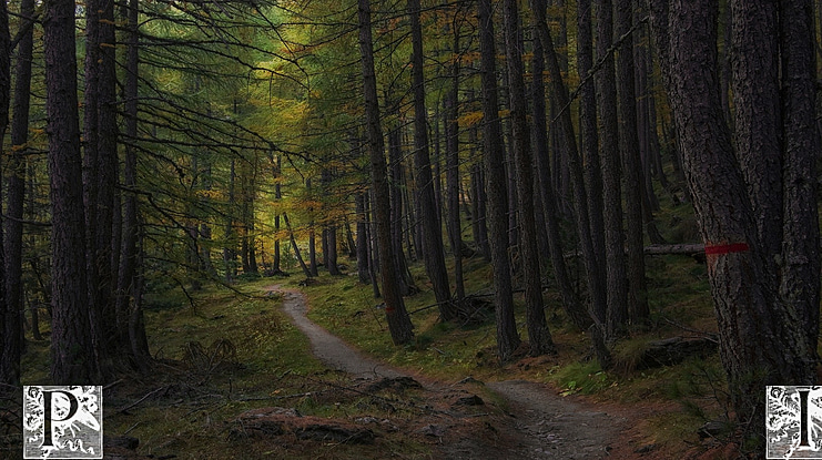 PompadourInitials Font