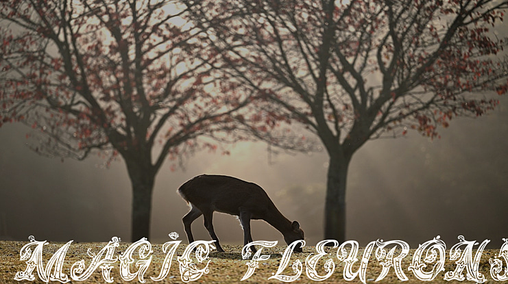 Magic Fleurons Font