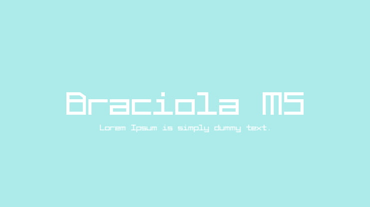 Braciola MS Font Family