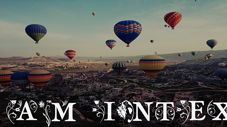 am_intex Font