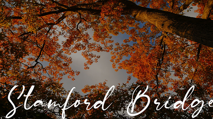 Stamford Bridge Font