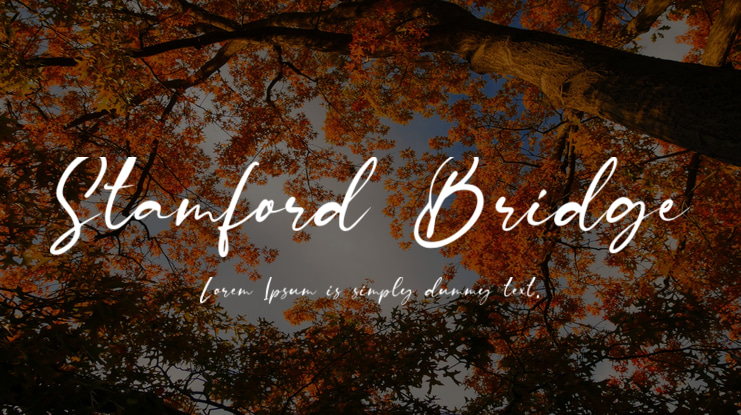 Stamford Bridge Font