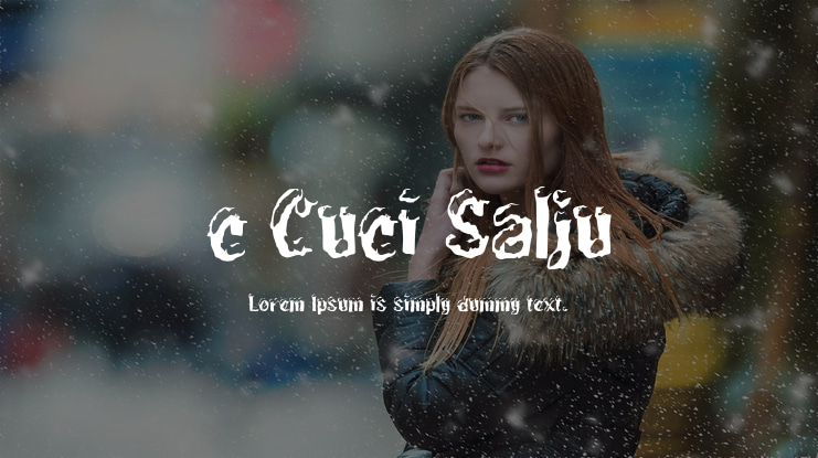 c Cuci Salju Font