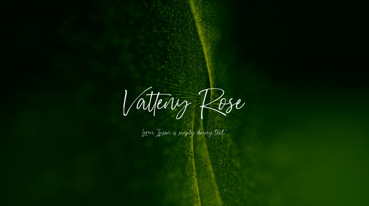 Vatteny Rose Font