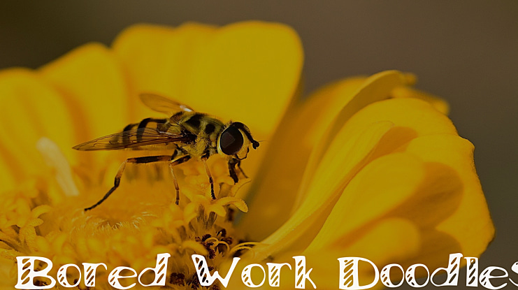 Bored_Work_Doodles Font