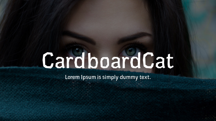CardboardCat Font Family