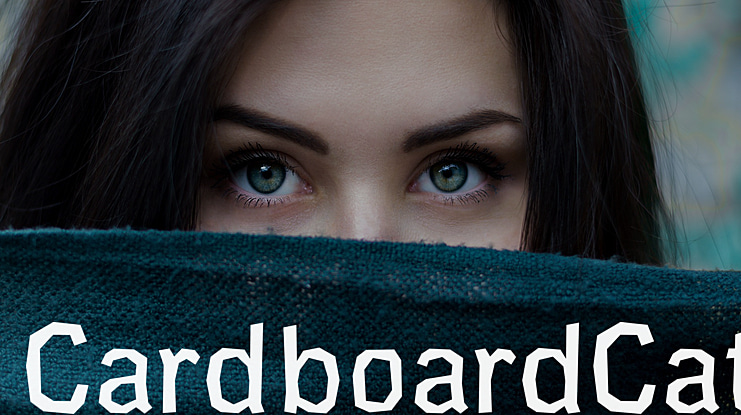 CardboardCat Font Family