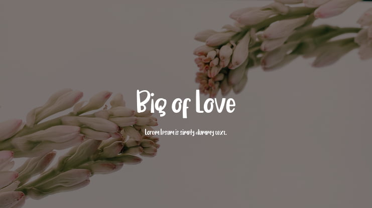 Big of Love Font