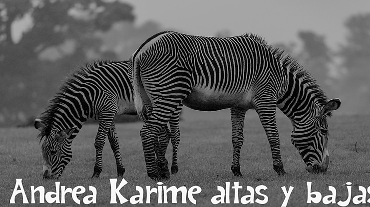 Andrea Karime altas y bajas Font