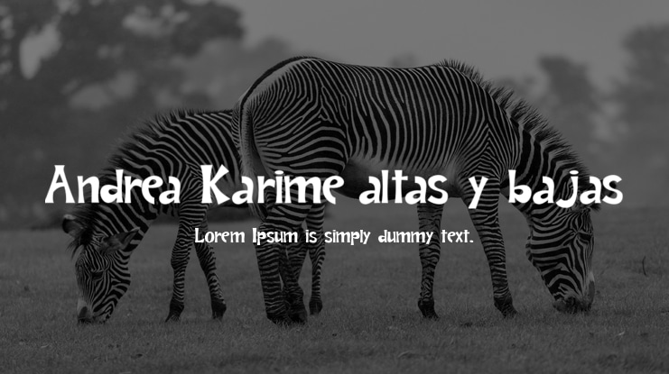 Andrea Karime altas y bajas Font