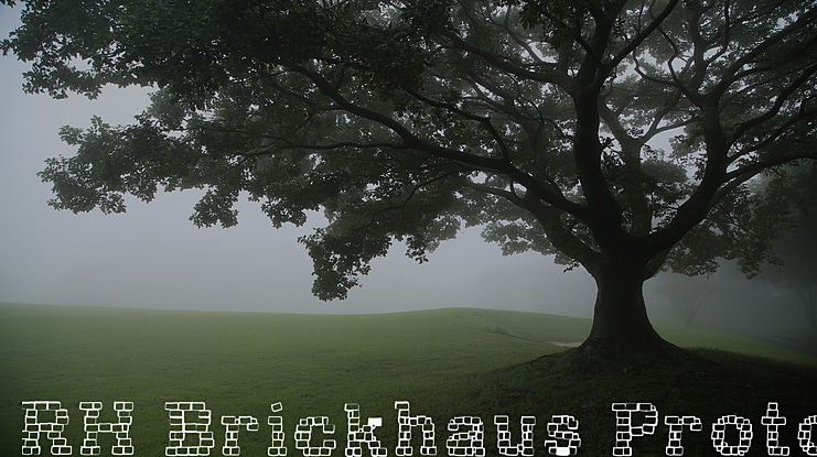 RH Brickhaus Proto Font Family