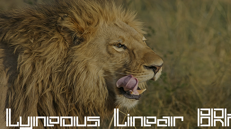 Lyneous Font