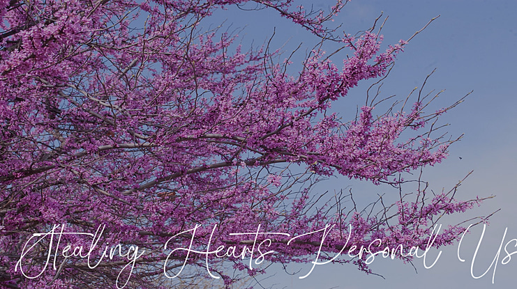 Stealing Hearts Personal Use Font