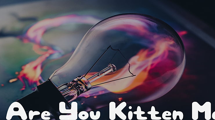 Are You Kitten Me Font
