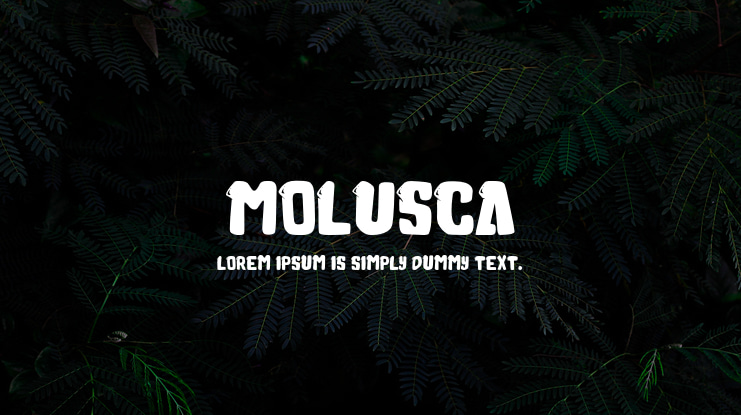 Molusca Font