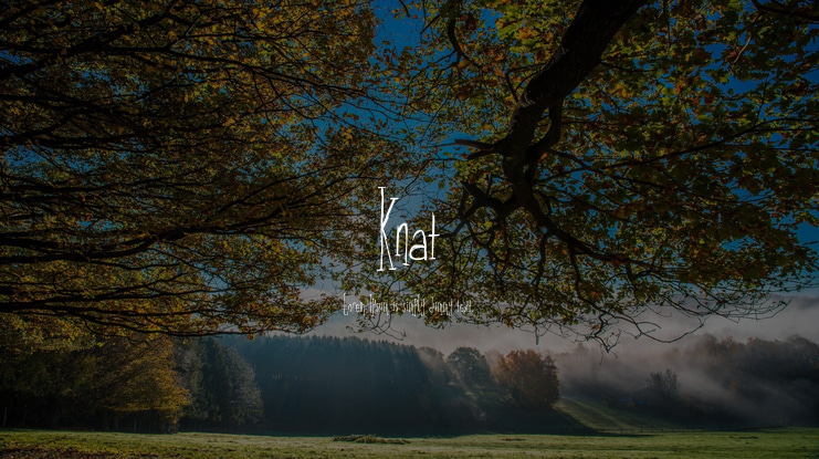 Knat Font