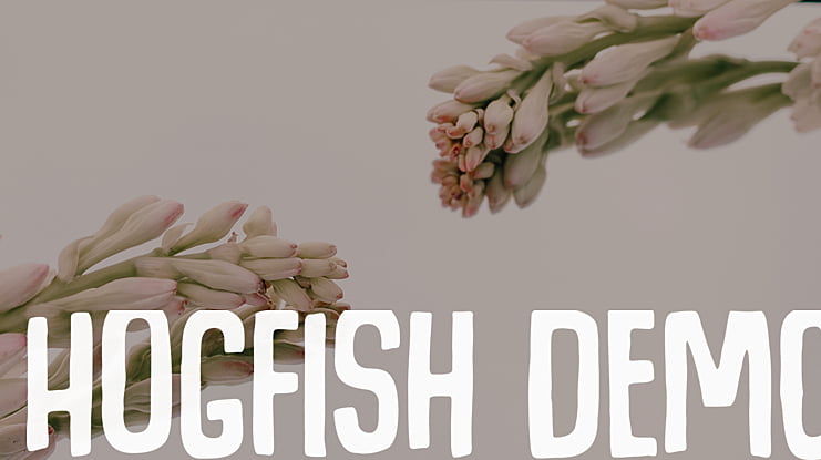 Hogfish DEMO Font