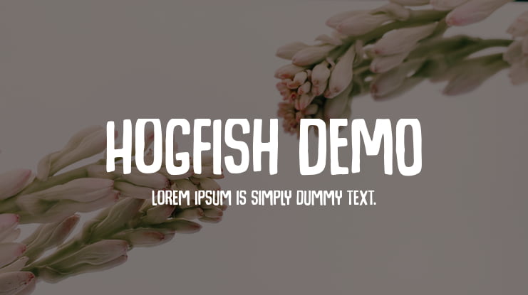 Hogfish DEMO Font