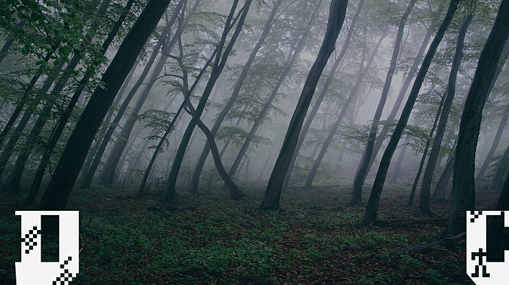 Digital College Font