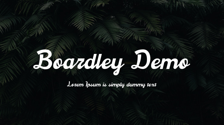 Boardley Demo Font