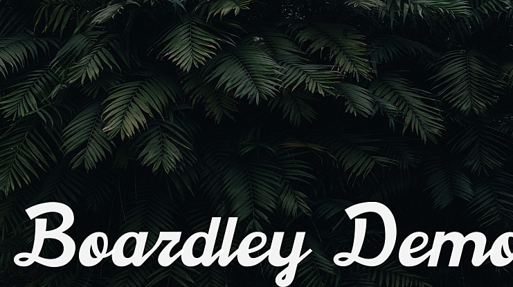 Boardley Demo Font