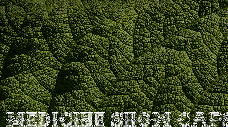 MEDICINE SHOW CAPS Font