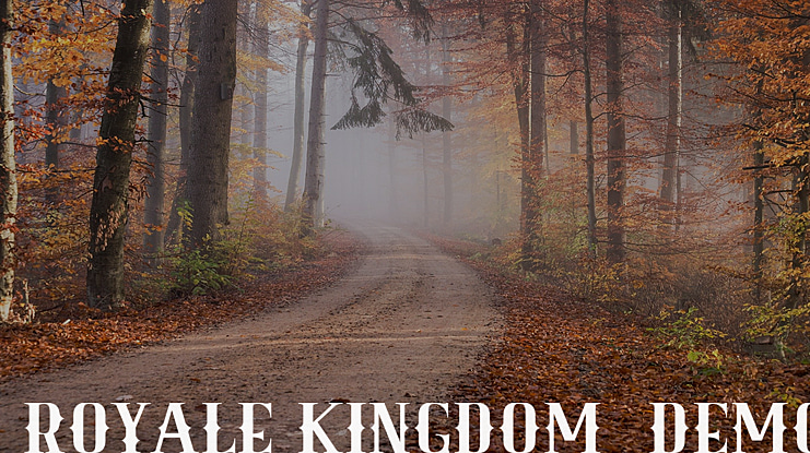 Royale Kingdom  DEMO Font