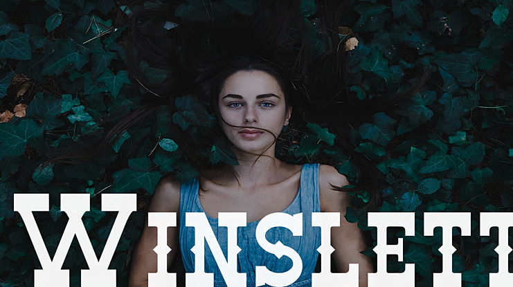 Winslett Font Family