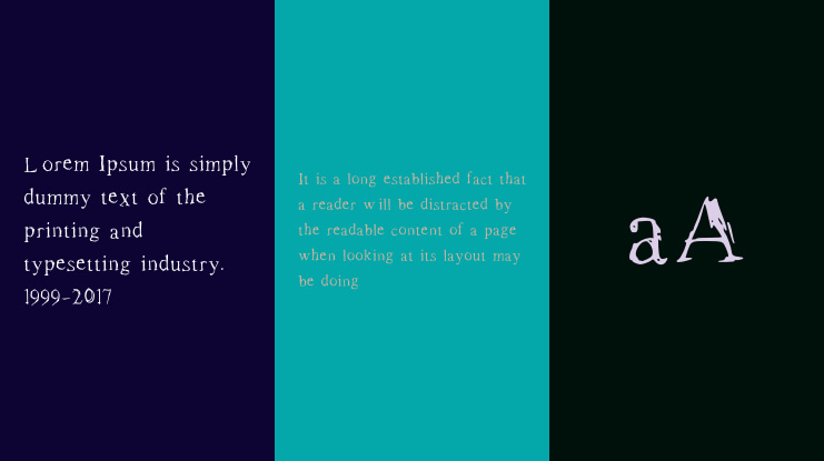 Roman New Times Font