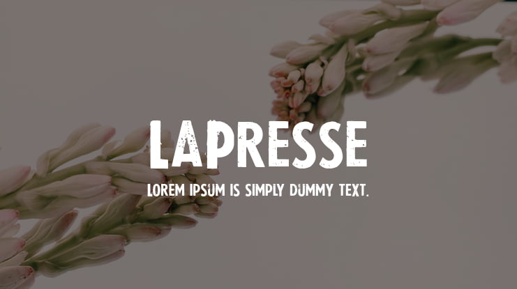 LaPresse Font