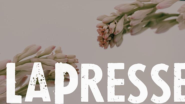 LaPresse Font