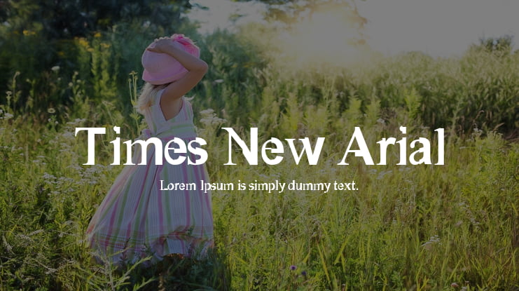 Times New Arial Font