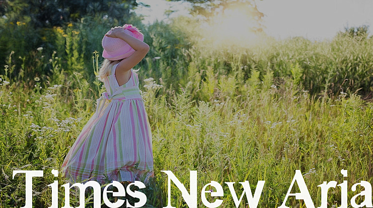 Times New Arial Font