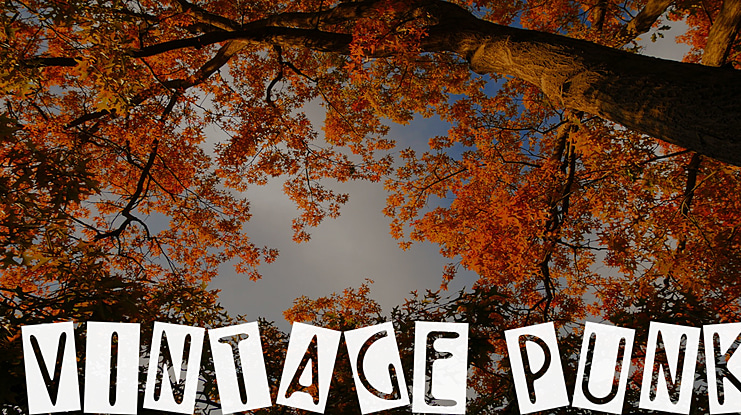 VINTAGE PUNK Font