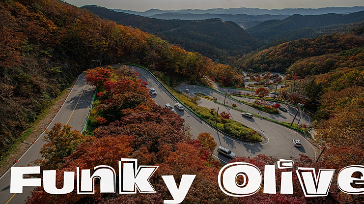 Funky Olive Font