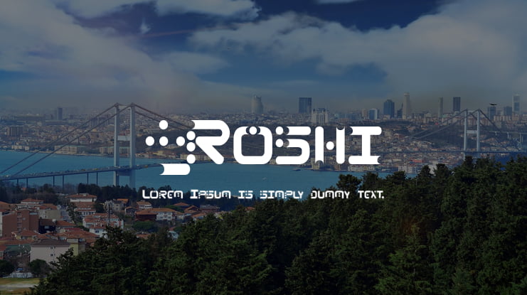 13_Roshi Font