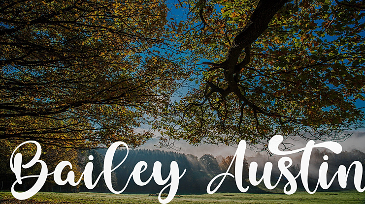 Bailey Austin Font