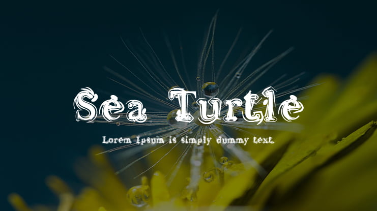 Sea Turtle Font