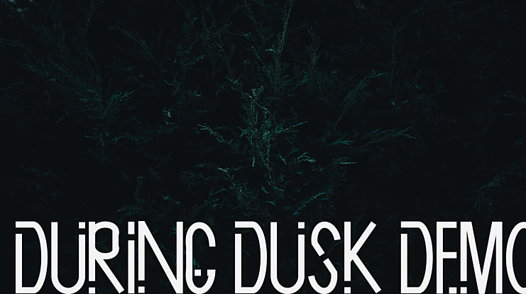 During Dusk Demo Font