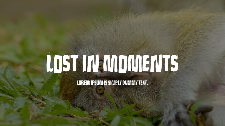 Lost in moments Font